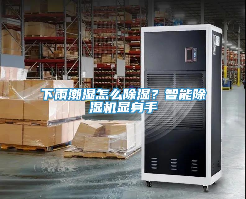 下雨潮濕怎么除濕？智能除濕機(jī)顯身手