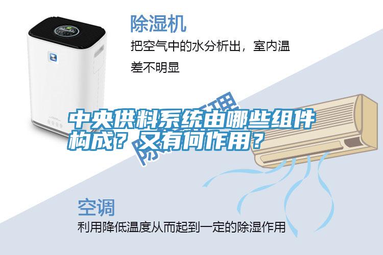 中央供料系統(tǒng)由哪些組件構(gòu)成？又有何作用？