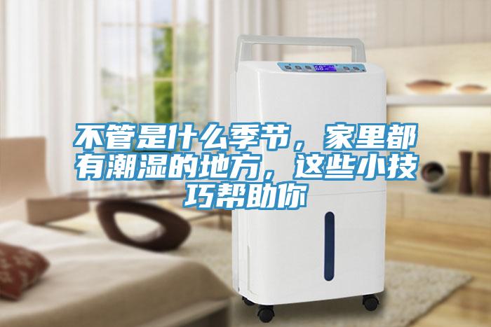 不管是什么季節(jié)，家里都有潮濕的地方，這些小技巧幫助你