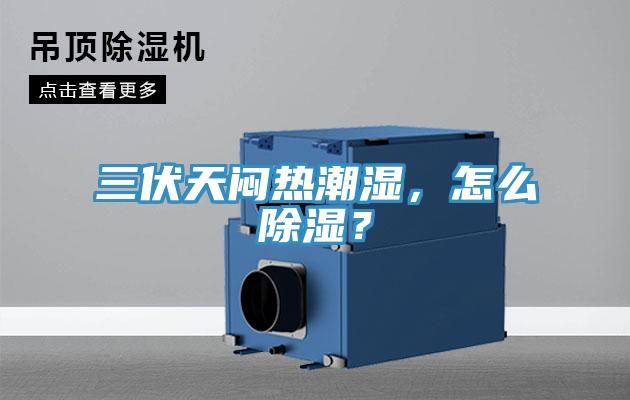 三伏天悶熱潮濕，怎么除濕？