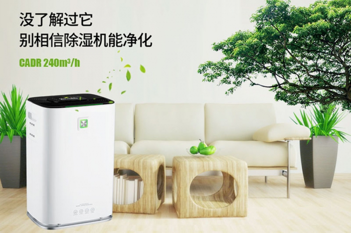 一到回南天狗狗就感冒+皮膚病，怎么辦？