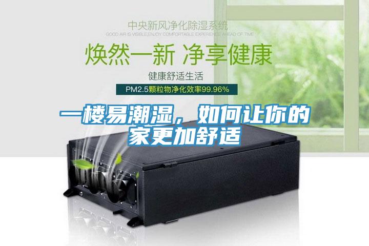 一樓易潮濕，如何讓你的家更加舒適