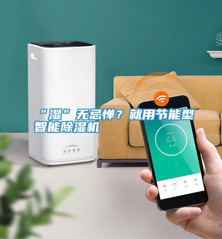 “濕”無忌憚？就用節(jié)能型智能除濕機(jī)