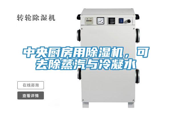 中央廚房用除濕機(jī)，可去除蒸汽與冷凝水