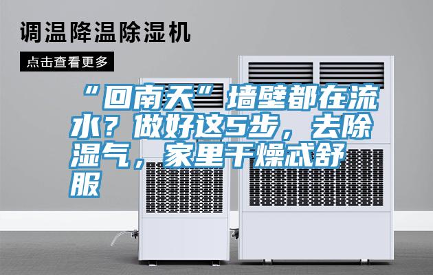 “回南天”墻壁都在流水？做好這5步，去除濕氣，家里干燥忒舒服
