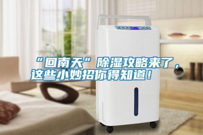 “回南天”除濕攻略來了，這些小妙招你得知道！