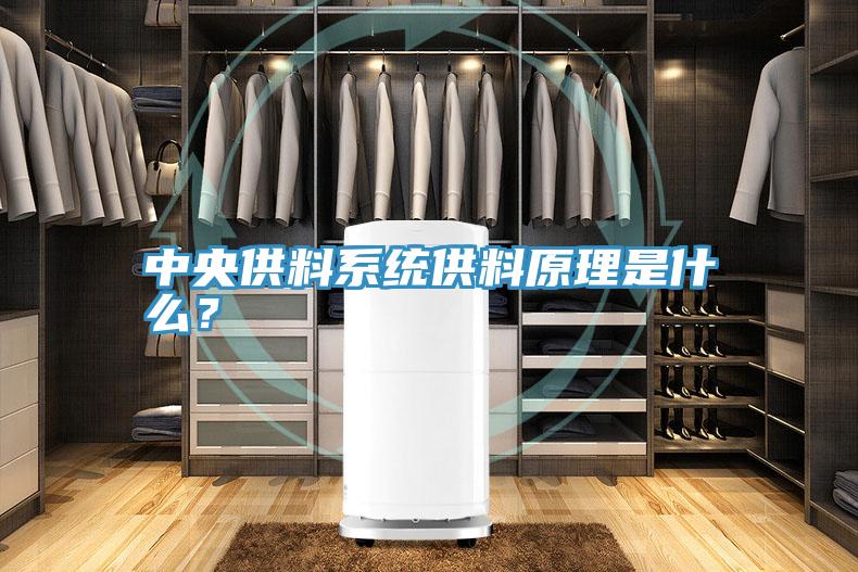 中央供料系統(tǒng)供料原理是什么？