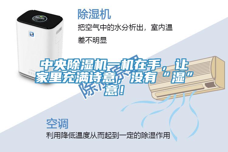 中央除濕機(jī)一機(jī)在手，讓家里充滿詩意，沒有“濕”意！