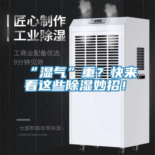 “濕氣”重？快來看這些除濕妙招！