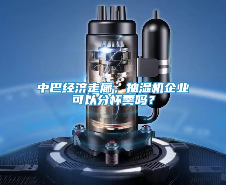 中巴經(jīng)濟(jì)走廊，抽濕機(jī)企業(yè)可以分杯羹嗎？