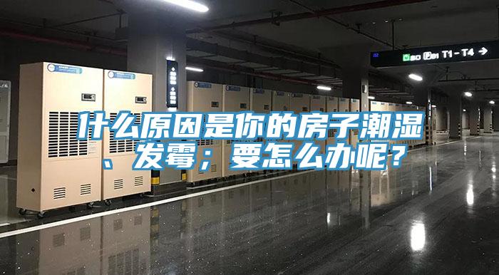 什么原因是你的房子潮濕、發(fā)霉；要怎么辦呢？