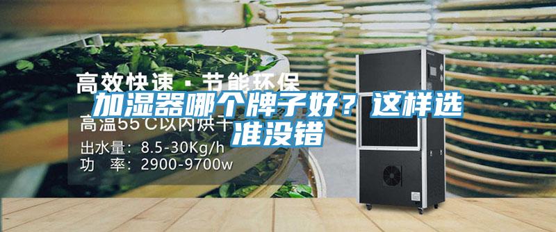 加濕器哪個牌子好？這樣選準沒錯