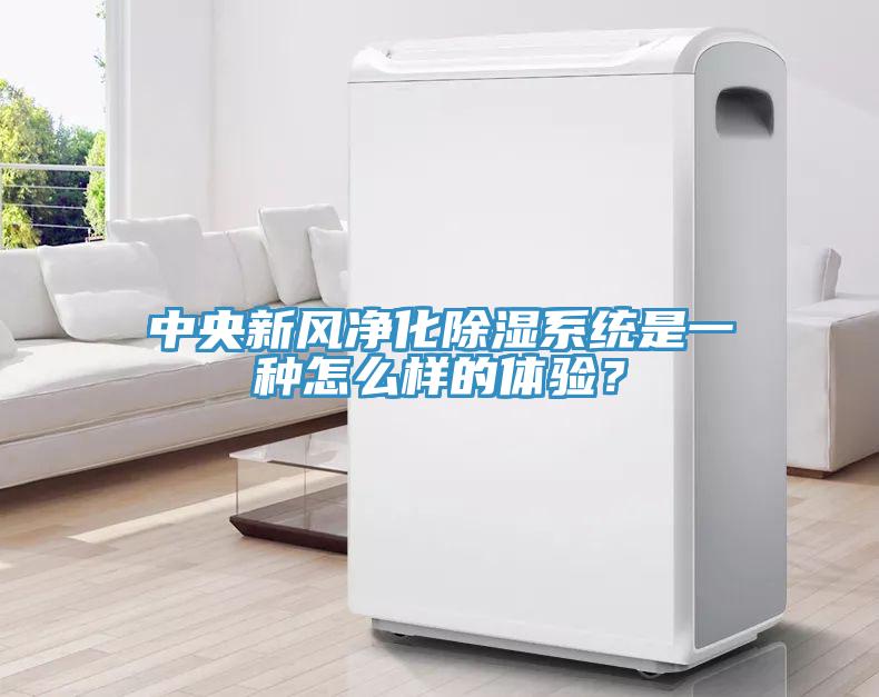 中央新風(fēng)凈化除濕系統(tǒng)是一種怎么樣的體驗？