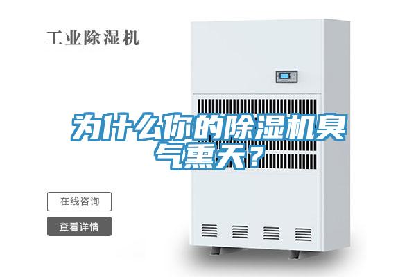 為什么你的除濕機臭氣熏天？