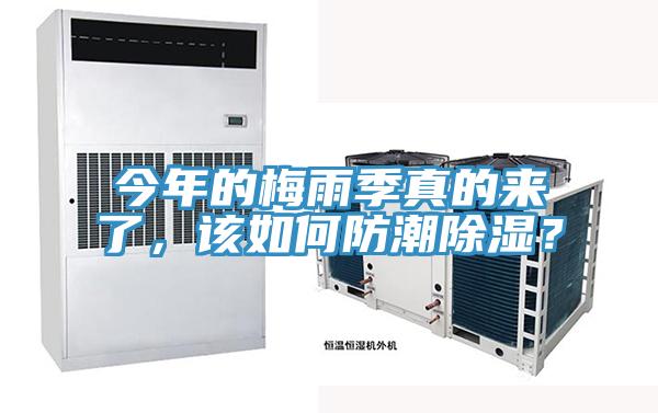 今年的梅雨季真的來(lái)了，該如何防潮除濕？