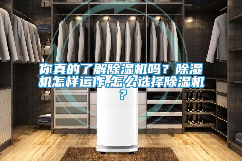 你真的了解除濕機(jī)嗎？除濕機(jī)怎樣運(yùn)作,怎么選擇除濕機(jī)？