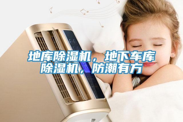 地庫(kù)除濕機(jī)，地下車(chē)庫(kù)除濕機(jī)，防潮有方