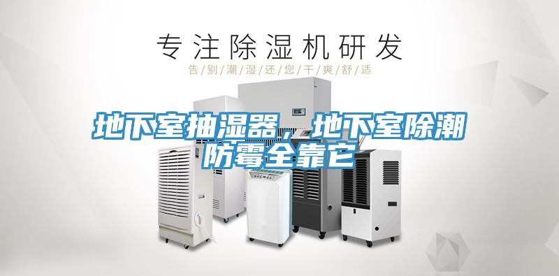 地下室抽濕器，地下室除潮防霉全靠它