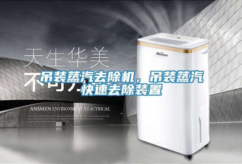 吊裝蒸汽去除機，吊裝蒸汽快速去除裝置