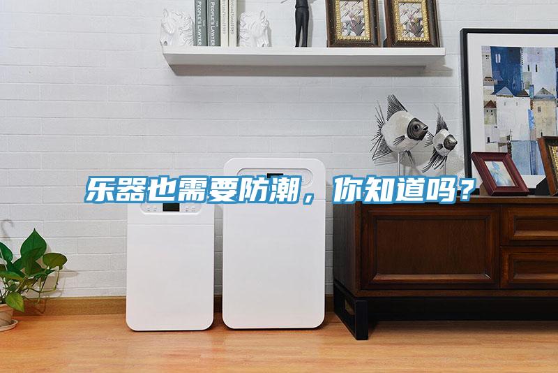 樂器也需要防潮，你知道嗎？