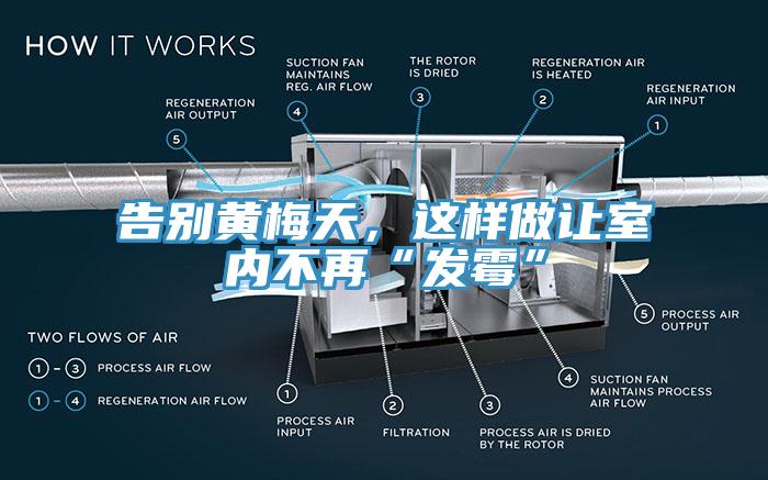 告別黃梅天，這樣做讓室內不再“發(fā)霉”