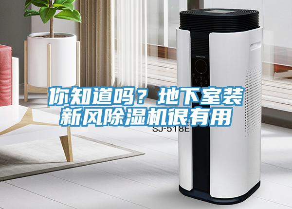 你知道嗎？地下室裝新風(fēng)除濕機(jī)很有用