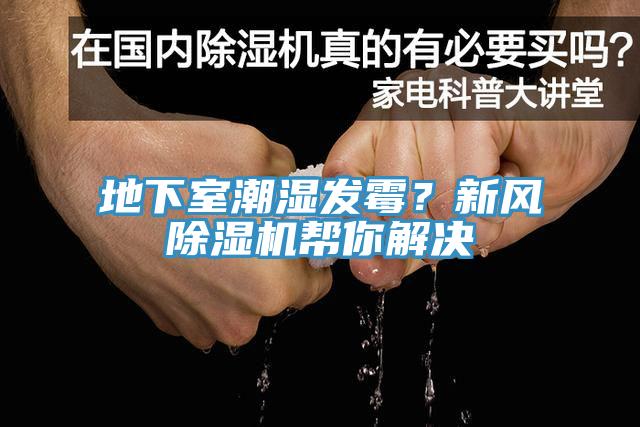 地下室潮濕發(fā)霉？新風除濕機幫你解決