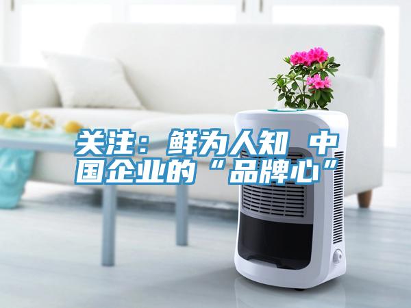 關(guān)注：鮮為人知 中國企業(yè)的“品牌心”
