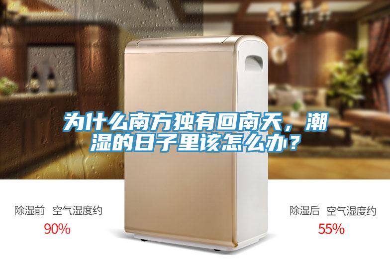 為什么南方獨有回南天，潮濕的日子里該怎么辦？