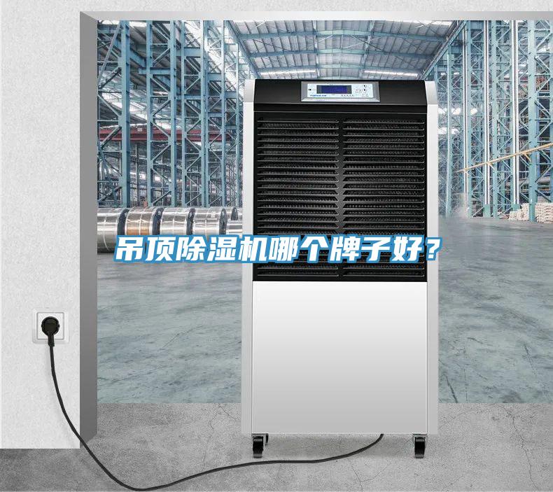 吊頂除濕機哪個牌子好？