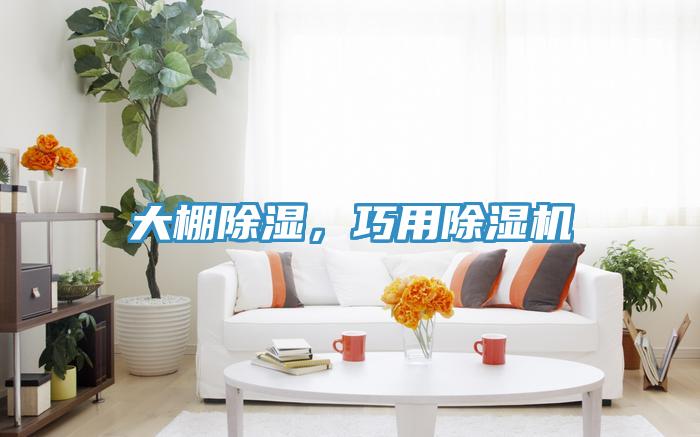 大棚除濕，巧用除濕機(jī)