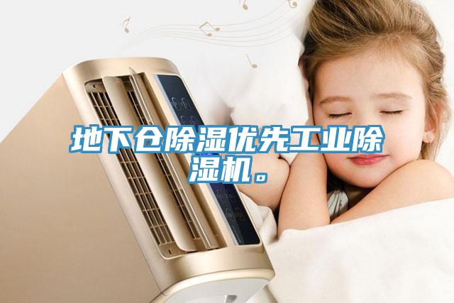 地下倉(cāng)除濕優(yōu)先工業(yè)除濕機(jī)。