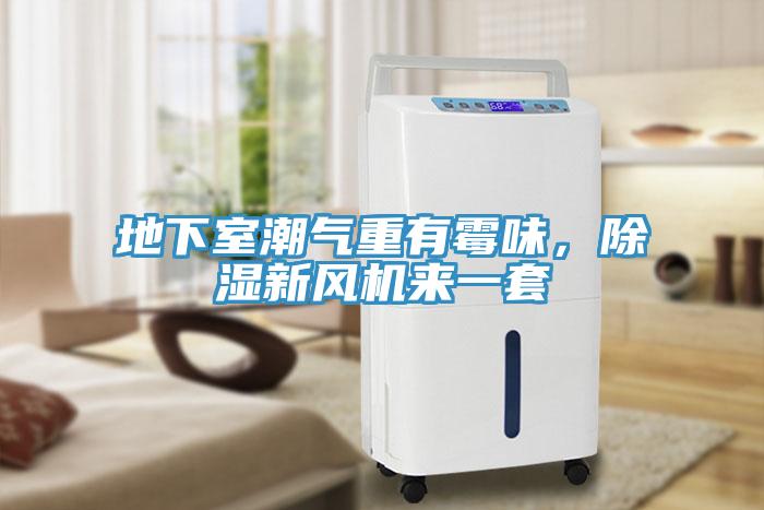 地下室潮氣重有霉味，除濕新風機來一套