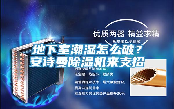 地下室潮濕怎么破？安詩(shī)曼除濕機(jī)來支招