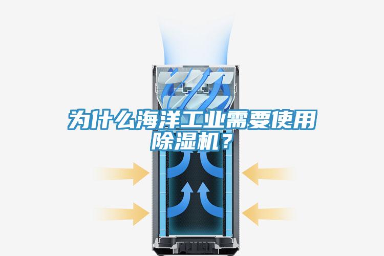 為什么海洋工業(yè)需要使用除濕機(jī)？