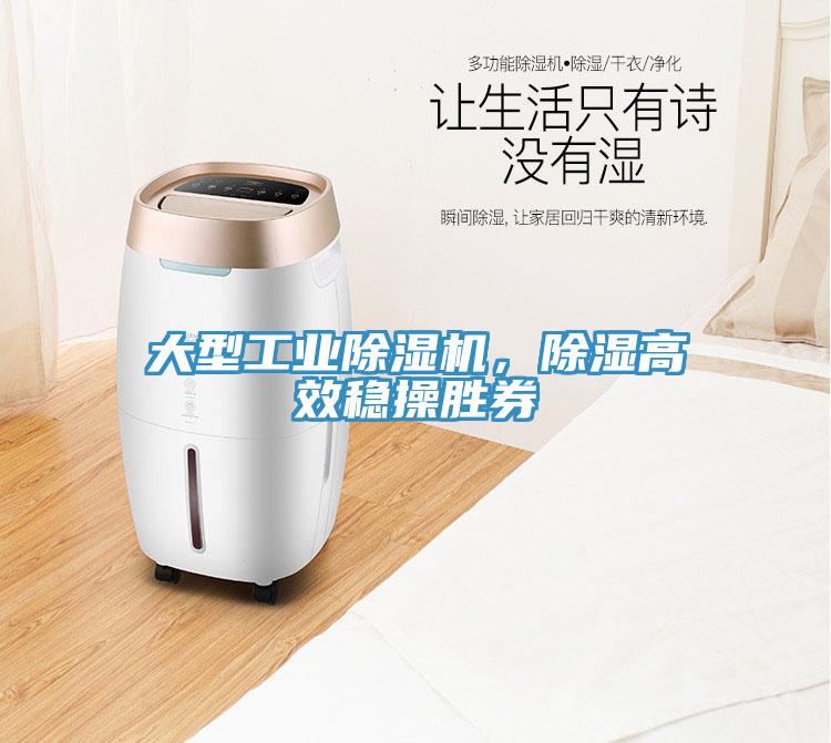 大型工業(yè)除濕機(jī)，除濕高效穩(wěn)操勝券
