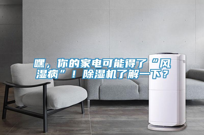 嘿，你的家電可能得了“風(fēng)濕病”！除濕機(jī)了解一下？
