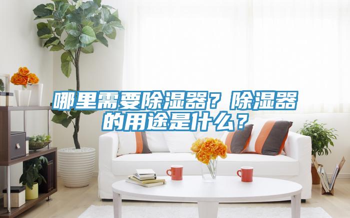 哪里需要除濕器？除濕器的用途是什么？