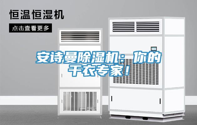 安詩曼除濕機：你的干衣專家！