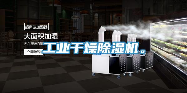 工業(yè)干燥除濕機。