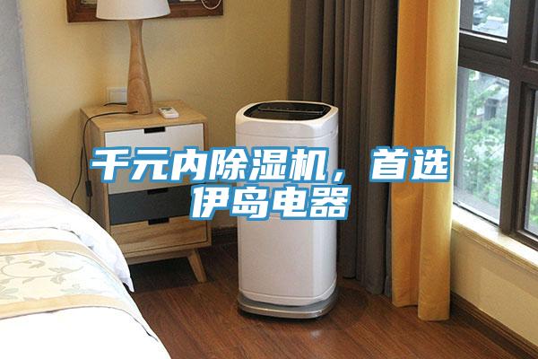 千元內(nèi)除濕機，首選伊島電器