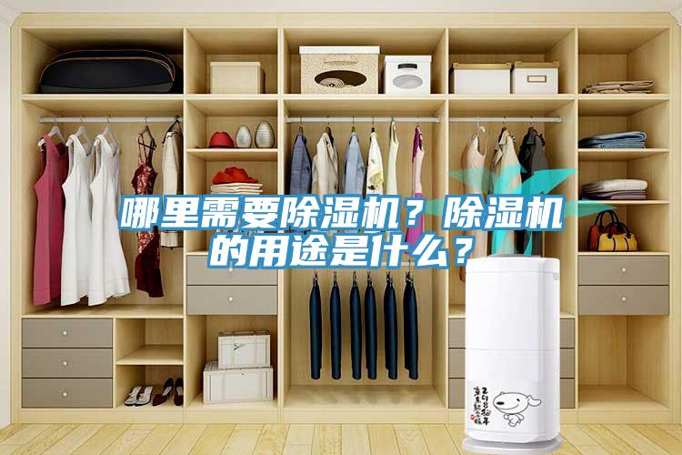 哪里需要除濕機(jī)？除濕機(jī)的用途是什么？