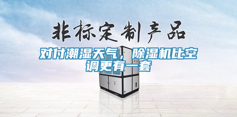 對(duì)付潮濕天氣，除濕機(jī)比空調(diào)更有一套