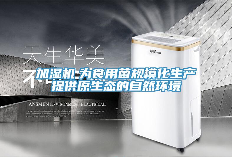 加濕機(jī)　為食用菌規(guī)?；a(chǎn)提供原生態(tài)的自然環(huán)境