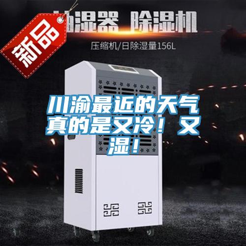 川渝最近的天氣真的是又冷！又濕！