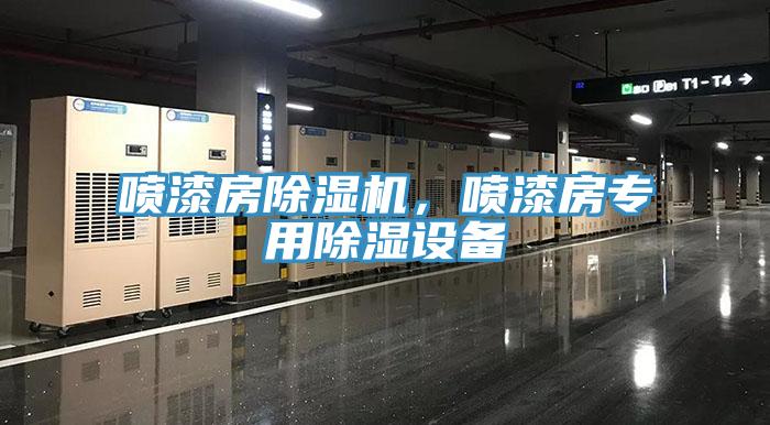 噴漆房除濕機(jī)，噴漆房專用除濕設(shè)備
