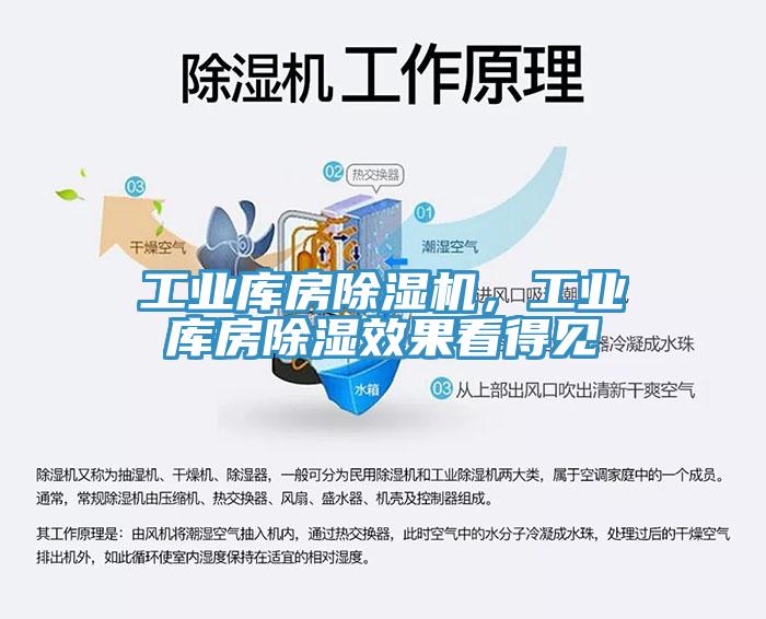 工業(yè)庫房除濕機(jī)，工業(yè)庫房除濕效果看得見
