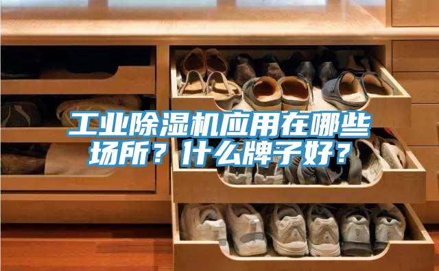 工業(yè)除濕機(jī)應(yīng)用在哪些場所？什么牌子好？