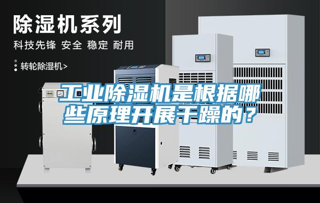工業(yè)除濕機(jī)是根據(jù)哪些原理開展干躁的？