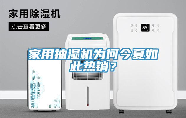 家用抽濕機為何今夏如此熱銷？